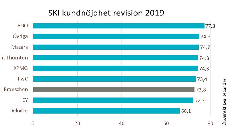 SKI revision per bolag 2019