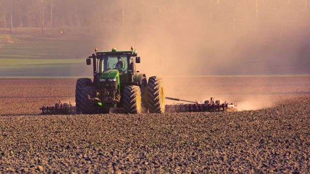 Vid odling utan glyfosat kan exempelvis behovet av jordbearbetning öka för att hantera ogräset. Foto: Allan Wallberg.
