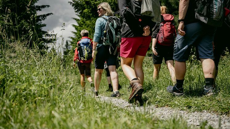 Wandern verbindet (Foto: TVE/Dirk Rückschloss)