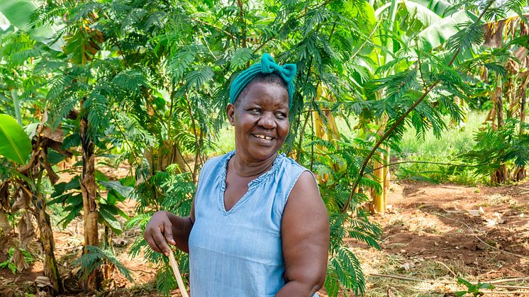 Foto: Eseri Gaalya Mayuge från Uganda har fått stöd från Vi-skogen att odla med metoden agroforestry. ”Det har förändrat mitt liv”, säger hon. Fotograf: Joseph Lubega Mukaawa.