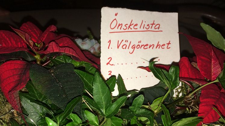 Var tionde svensk vill enbart ha välgörenhet i julklapp