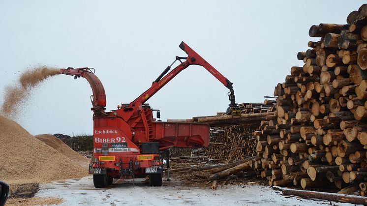 Finska skogsaktörer nyfikna på Sundsvall 