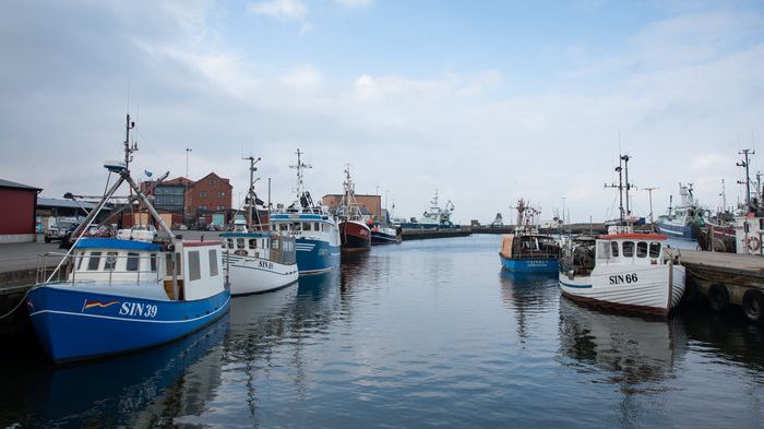 ​Gemensam strategi för svenskt fiske och vattenbruk
