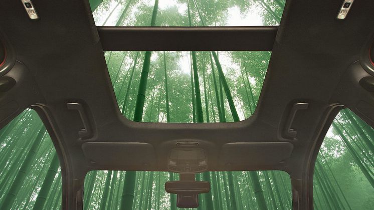 Snart kan du finde bambus i din bil 