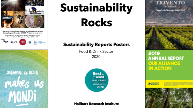 Sustainability Rocks
