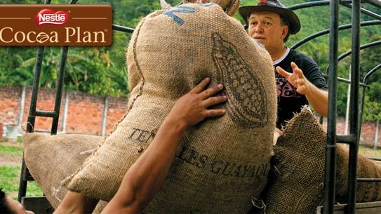 Nestlé Cocoa Plan gir mer bærekraftig kakao 