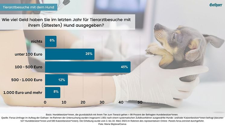 Forsa Studie Gothaer Tierkrankenversicherung Hund_Kosten Tierarztbesuch