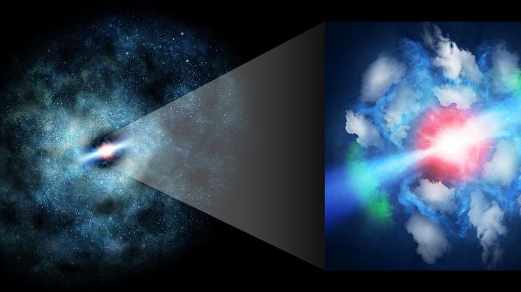 ALMA Resolves Gas Impacted by Young Jets from Supermassive Black Hole - Kindai University