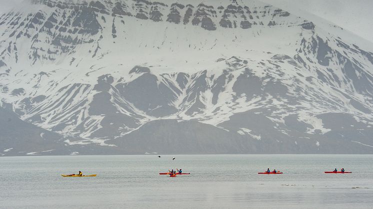 Bamsebu-Svalbard-HGR-146295- Photo_Dr._Verena_Meraldi