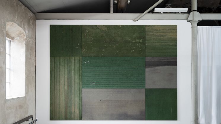 Untitled (Cotton fields) (2023)_Joakim Sandqvist_Beckers konstnärsstipendium 2024_Färgfabriken