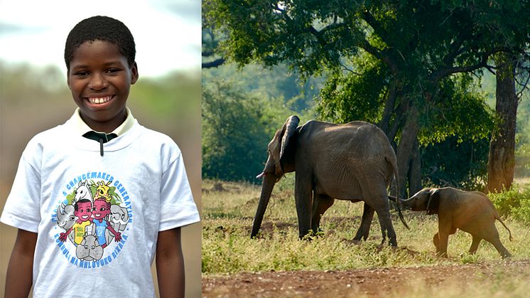 Alla 100 000 barn – en hel generation – i ett nationalparksområde i Zimbabwe och Moçambique utbildas i projektet Peace & Changemaker Generation.