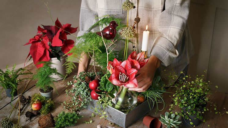 Juledekorasjon: I år blir glitter byttet ut med mer naturlig og tradisjonell dekorasjon