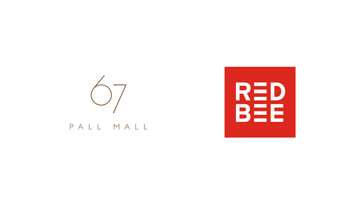 67 Red Bee Logos