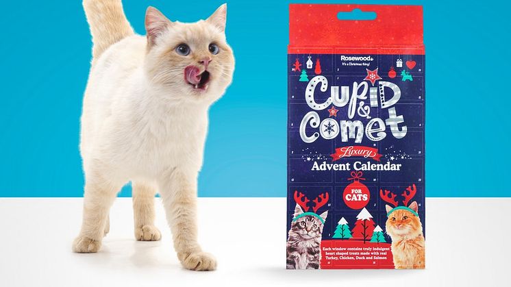 Cupid & Comet julekalender til katt