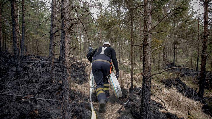 Inför sommarens skogsbränder har MSB förstärkt beredskapen på flera punkter.