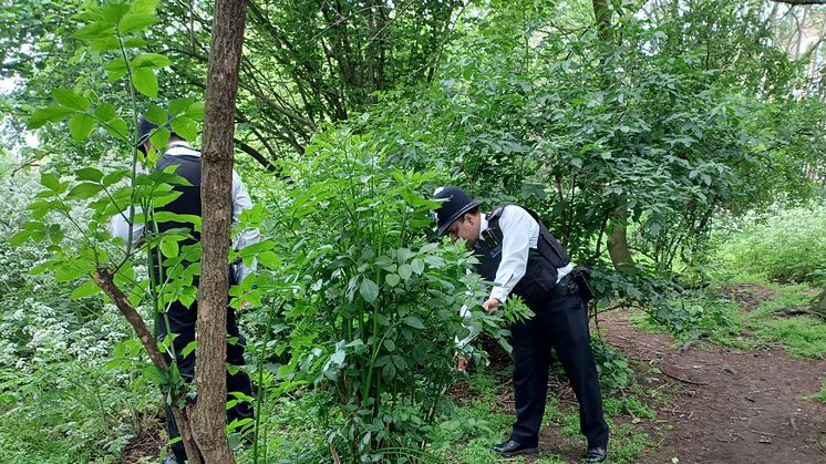 [Officers carrying out a weapons sweep in Bethnal Green]
