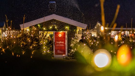 Pressinbjudan: Förhandstitt av Sölvesborgs julmarknad