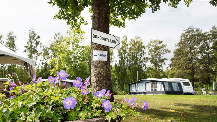 Det blomstrar i badparadiset Skantzö - ett campingplatsreportage