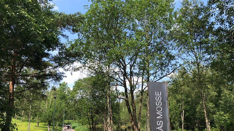 Lördagen den 21 september invigs den nyupprustade naturparken Gärdsås mosse. Foto: Park- och naturförvaltningen