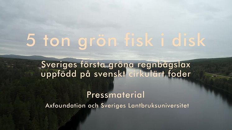 Pressmaterial: Sveriges första gröna regnbågslax uppfödd på svenskt cirkulärt foder