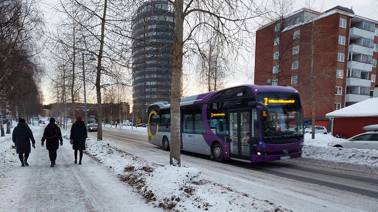 Rekordstart på året för Piteå Stadsbuss! Foto: Piteå kommun