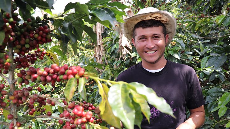 "Now I am a passionate coffee farmer"