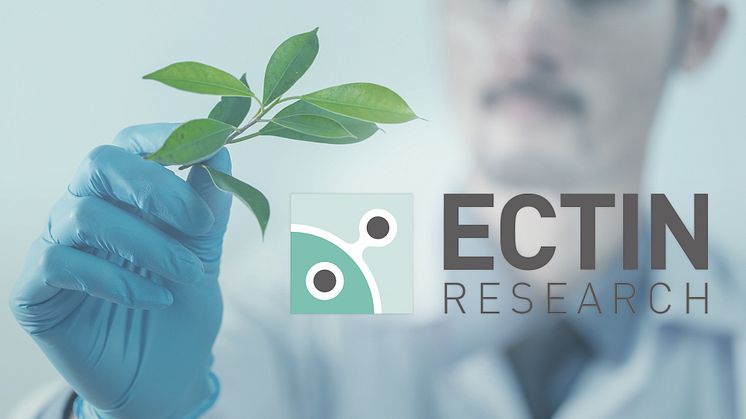 Ectin Research AB meddelar att ansökan om klinisk läkemedelsprövning är inlämnad till Läkemedelsverket