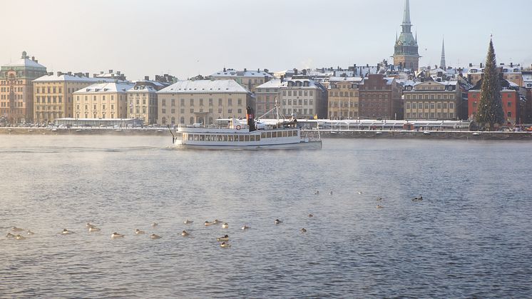 Stockholm Vintertur_Foto_Claes Helaner