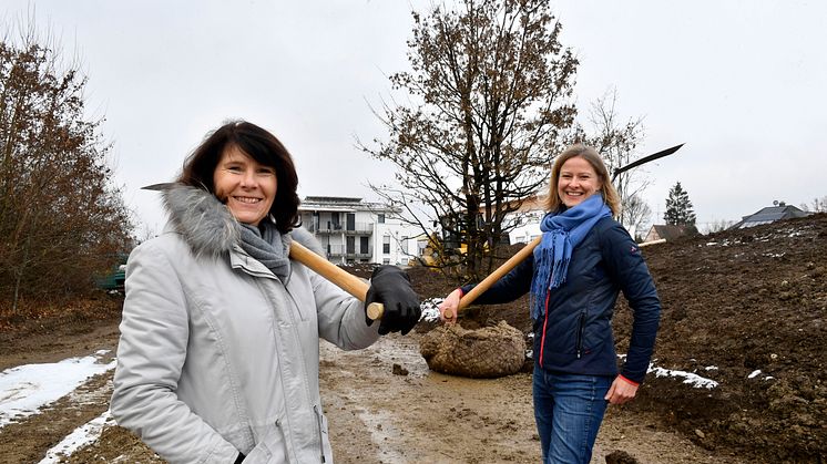 Marlies Mirbeth (li.), Vorstandsmitglied der Stadtsparkasse München, und Stadträtin Dr. Julia Schmitt-Thiel pflanzen zusammen den ersten von 25 gespendeten Bäumen im Naherholungsgebiet Horst-Salzmann-Weg.