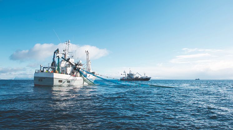 Norwegische Fischexporte nehmen mehr als doppelt so viel zu als in den vergangenen 10 Jahren
