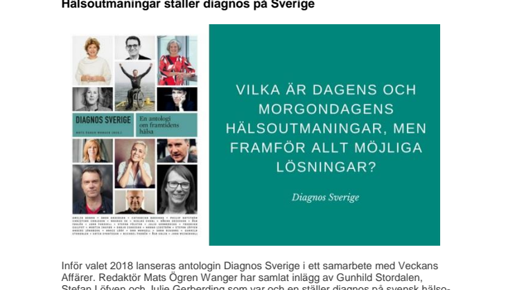 Beslutsfattare ställer diagnos på Sverige 