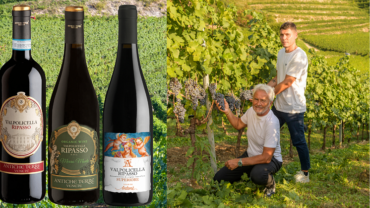 Antiche Terre Venete & Le Ville di Antanè med viner som funnits i över 10 år på den svenska marknaden. 