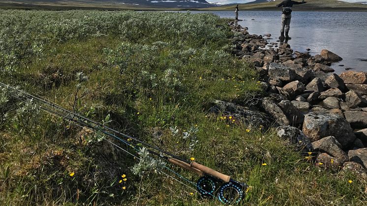 Under 2019 ägnade sig ungefär 1,6 miljoner personer åt fritidsfiske, jämfört 1,3 miljoner utövare 2018, en ökning med 23 procent. Foto: Gustav Enhol Blomqvist/HaV
