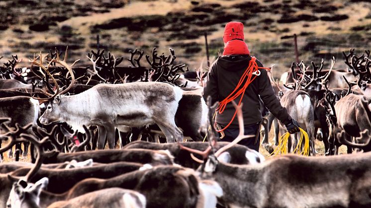 Målet är att mildra markkonflikter i Sápmi