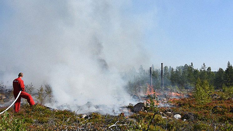 En stor majoritet av den svenska befolkningen är villig att delta i krisinsatser, till exempel genom att hjälpa till vid en skogsbrand.