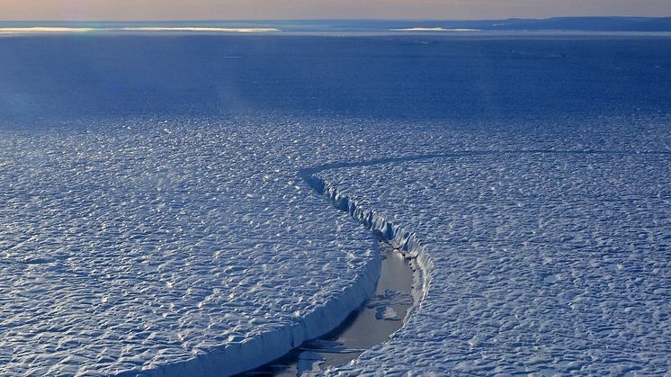 En ny spricka i Petermanns flytande tunga observerades under Odens expedition 2019. Sprickor kan med tiden växa tvärs över hela istungan, och medföra att stora isberg bryts av eller till och med att istungan bryts upp. Foto: Martin Jakobsson
