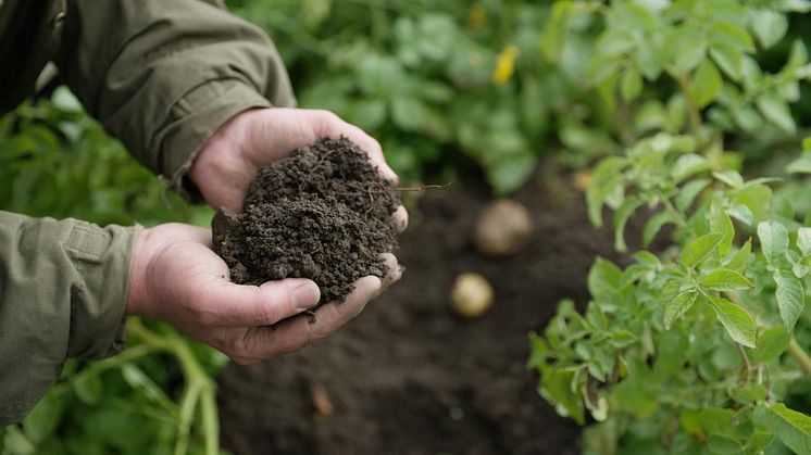 BASF Agricultural Solutions lanserar programmet Global Carbon Farming som gör det möjligt för jordbrukare att minska sina CO2-utsläpp