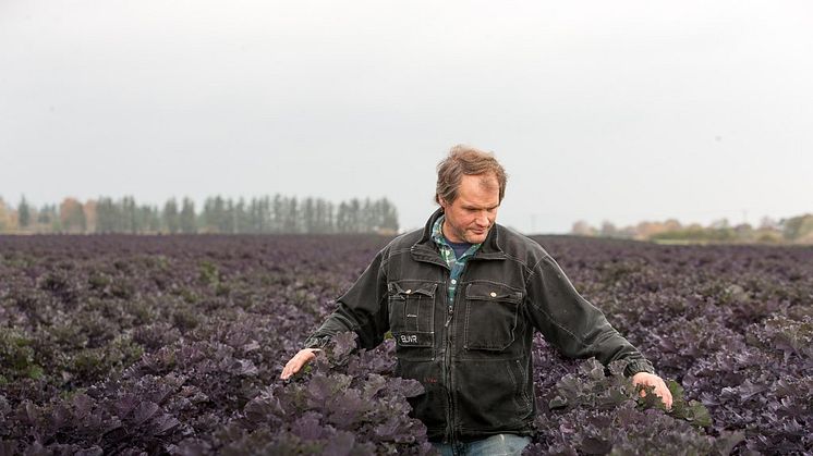Mattias Hansson i ett fält med Flowersprouts