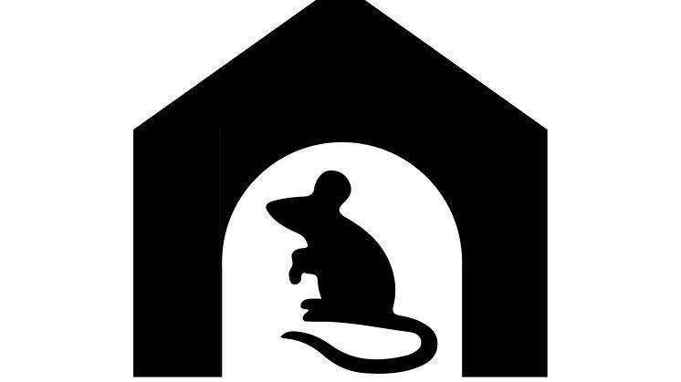 I appen "Mus i hus" kan allmänheten rapportera in fynd av möss och sorkar som sökt sig inomhus. Illustration: Frauke Ecke, SLU