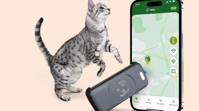 Kompakt, gesund und insbesondere innovativ – der Fressnapf Tracker ist jetzt auch für Katzen erhältlich