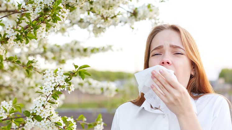 Ist das noch Erkältung oder schon Allergie? Eine Frage, die sich in jedem Frühjahr mit dem Beginn der Pollenflugsaison erneut stellt. / Bild: iStock 1088395848