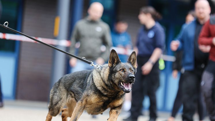 PD Eli from Police Scotland