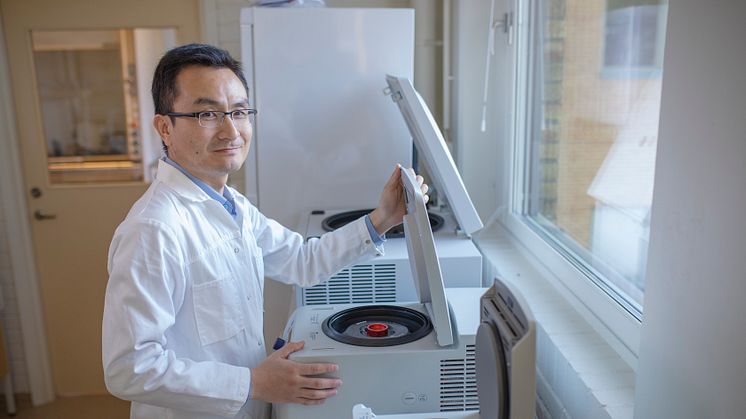 Yaowen Wu, professor i biokemi vid Umeå universitet, tilldelas det prestigefyllda Göran Gustafssonpriset i molekylär biologi.