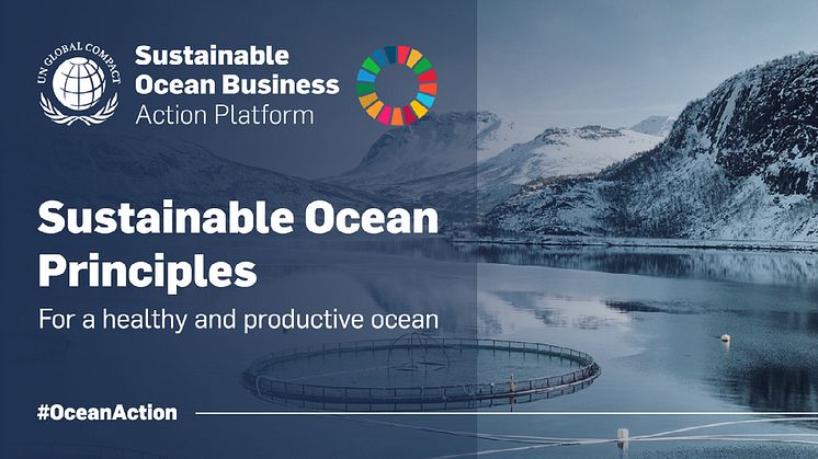 Businesses committing to Sustainable Ocean Principles is one step towards business transformation.  
