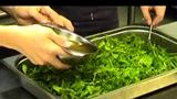 ”Barn i köket”-kurs i Gastros kök: Grönsallad för unga kockar
