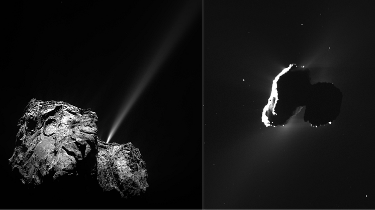 Kometkärnan 67P/Tjurjumov-Gerasimenko i två olika ljussättningar som belyser två olika uttryck av dess aktivitet. Fredrik Leffe Johansson disputerar den 15 januari på avhandlingen Rosetta Observations of Plasma and Dust. Cred: ESA/ROSETTA/OSIRIS/NAC
