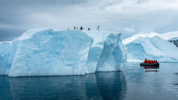 HX guests exploring Antarctica on a zodiac