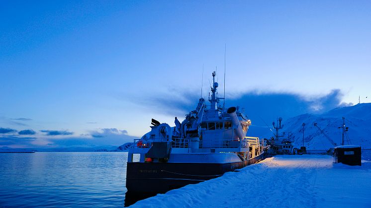 Record Year For Norwegian Seafood