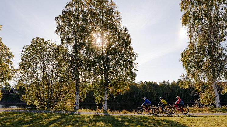 Cykling Umeå