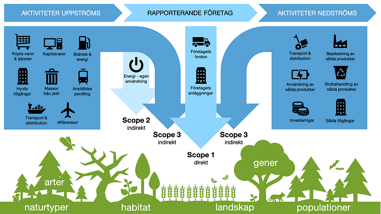 Projekt EcoComp handlar om utveckling av en handelsplattform för ekologisk kompensation och naturbaserad klimatkompensation. 